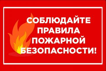 Профилактическая акция «Безопасное жильё».