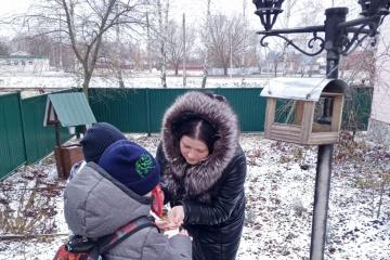 15 января – День зимующих птиц.