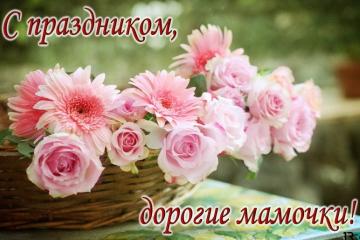 Любовью материнской мы согреты
