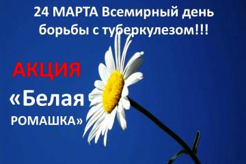 Акция "БЕЛАЯ РОМАШКА"
