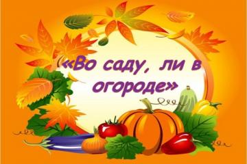 Фотомарафон «Чудо огородное»